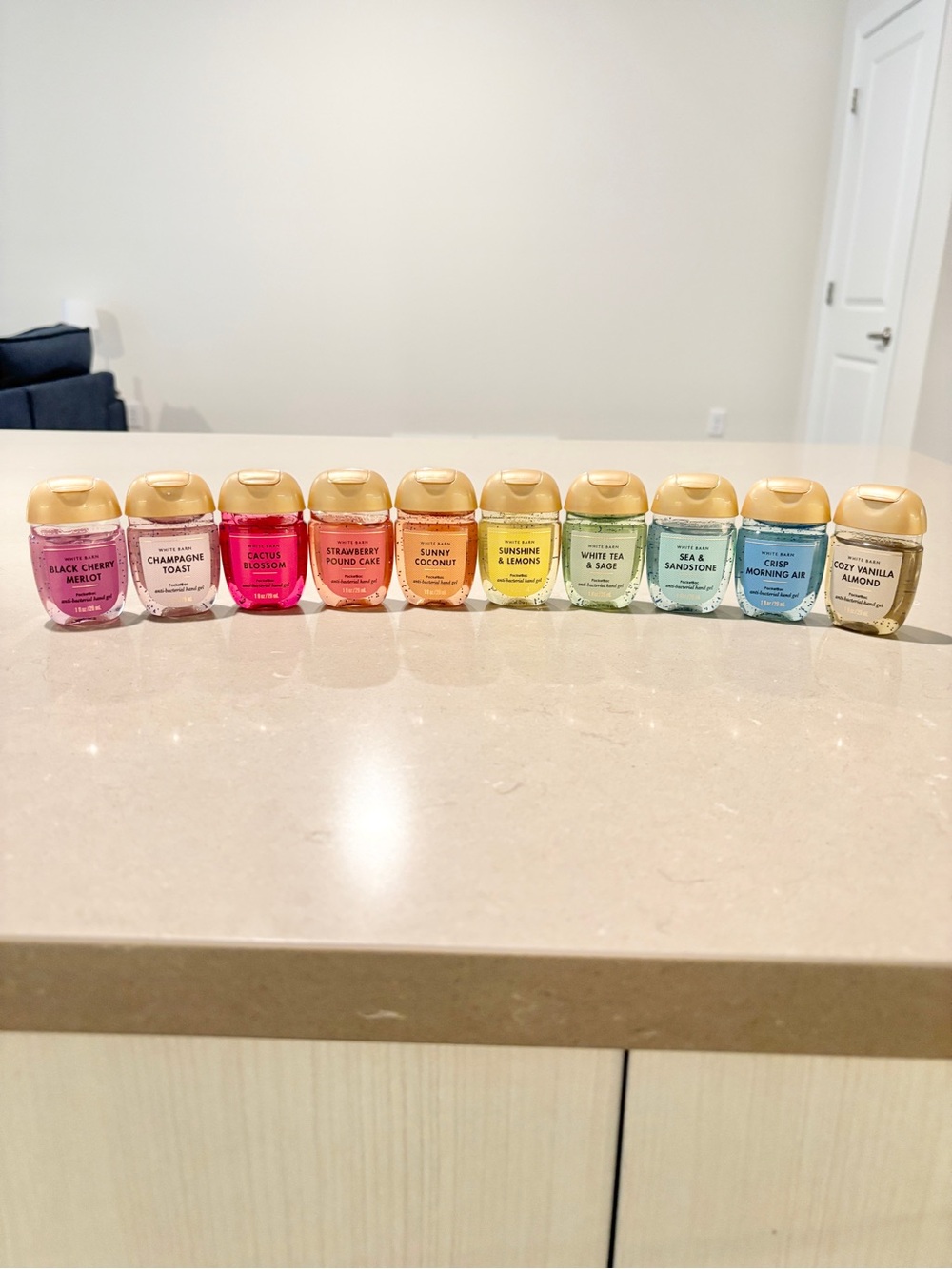 Bath & Body Works White Barn PocketBac Bundle | 10 Mixed  Gift Set Hand Gels